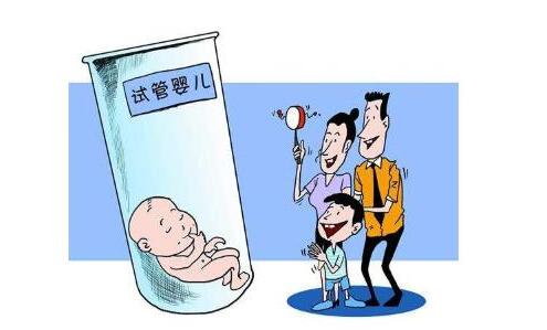 私人代怀公司